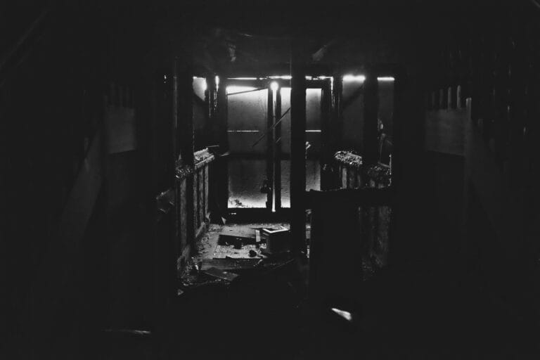 Série « Buffalo 2017 »