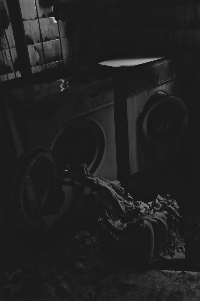 Série « Buffalo 2017 »