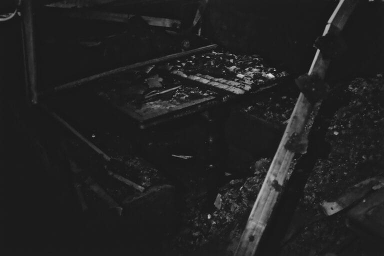 Série « Buffalo 2017 »
