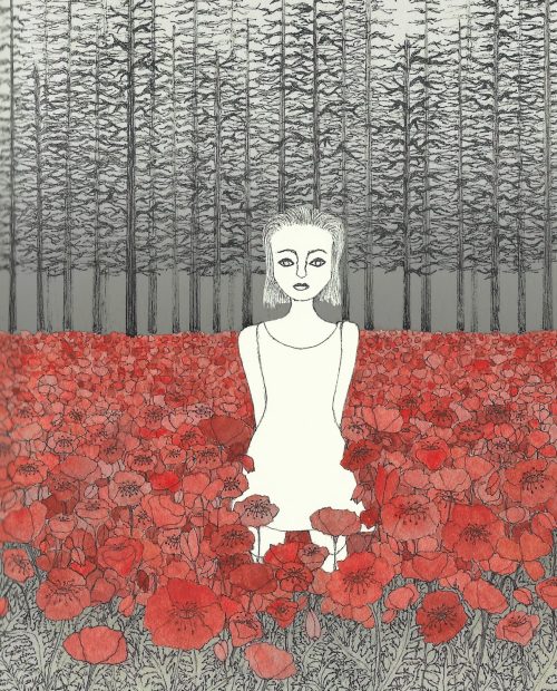 Série « Incendies »