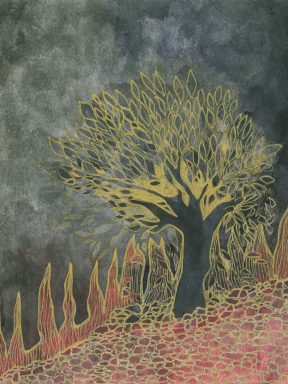 Série « Incendies »