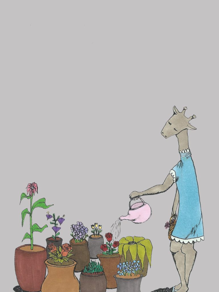 Série « Jardins cultivés »