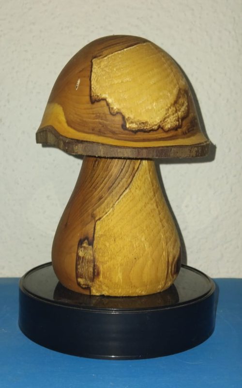 Pièce en bois par Martin-Pierre Couchoud