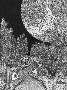 Série « Promenades nocturnes »