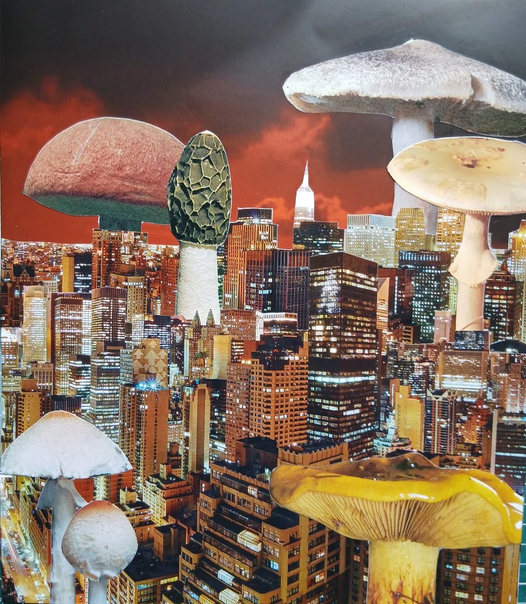 Collage par Léonie Lecorre